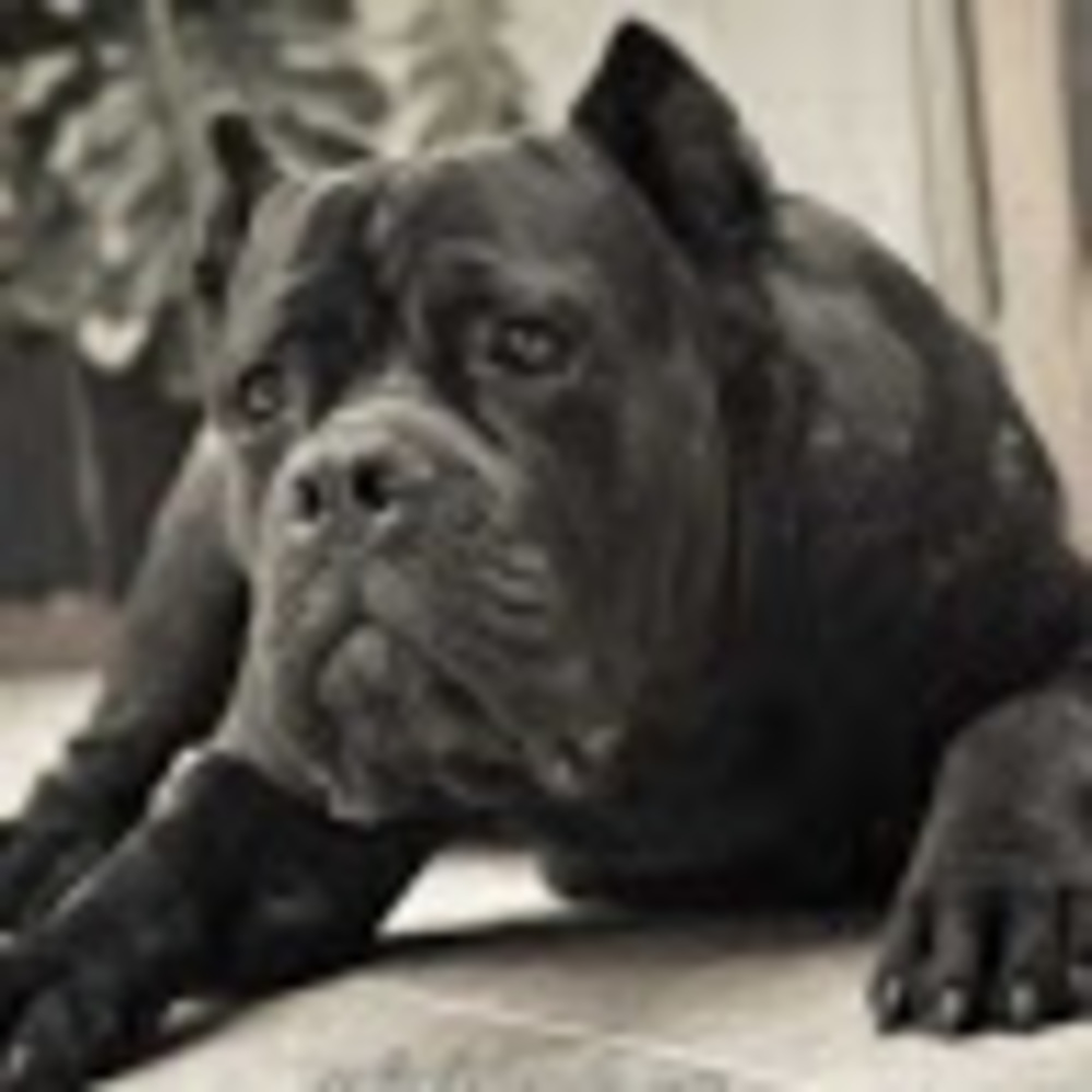 Meet your Posher, Jewel